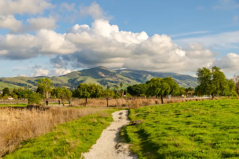 Dirt pathway through green grass field with trees and mountains under partly cloudy sky.